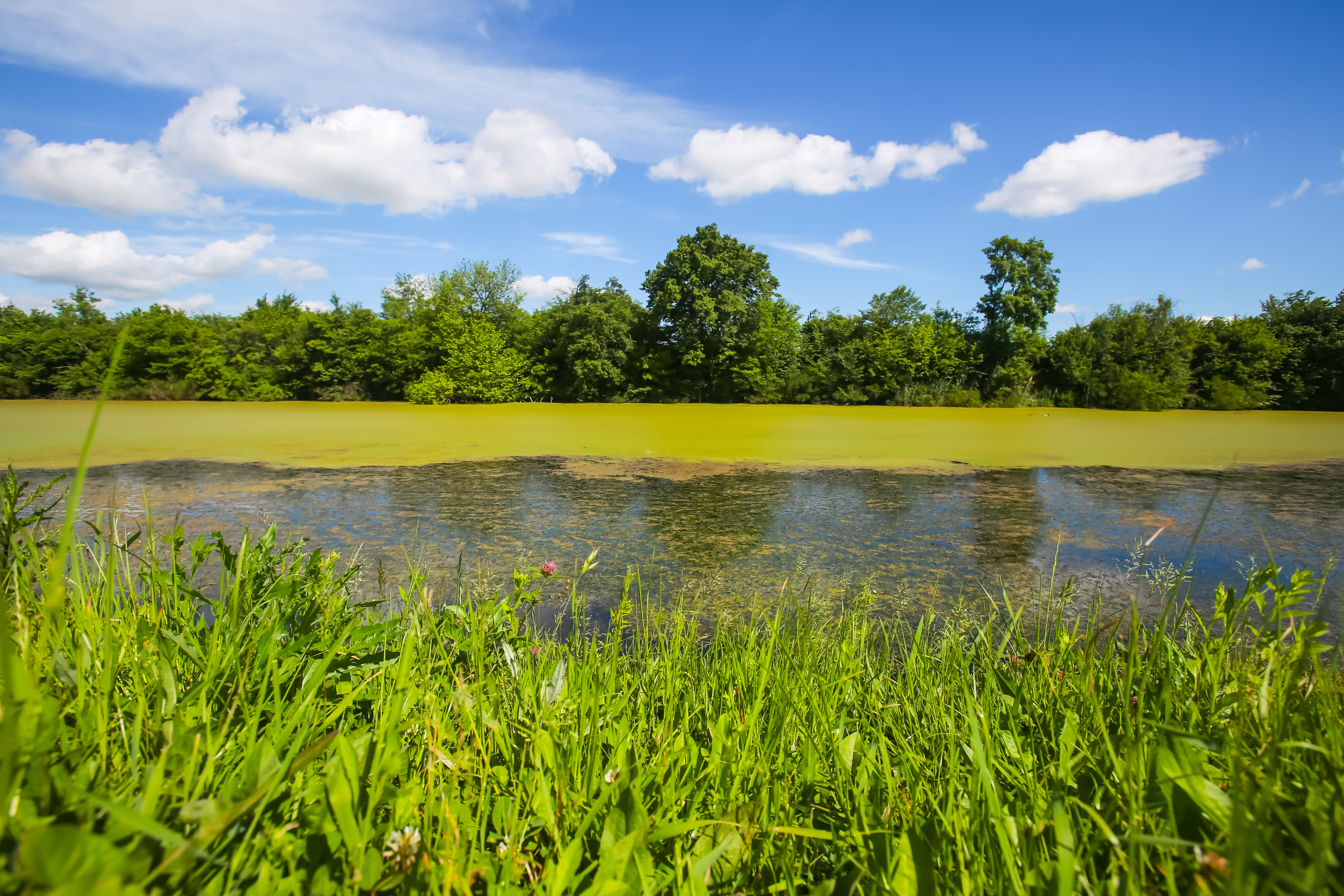 Algal Toxins Recreational Water Proficiency Program Now Open!