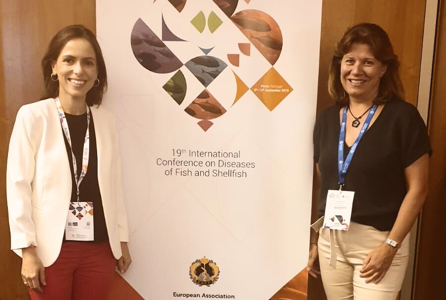 Eurofins Ingenasa participó la pasada semana en Porto en la 19ª Conferencia Internacional de Enfermedades de Peces y Moluscos